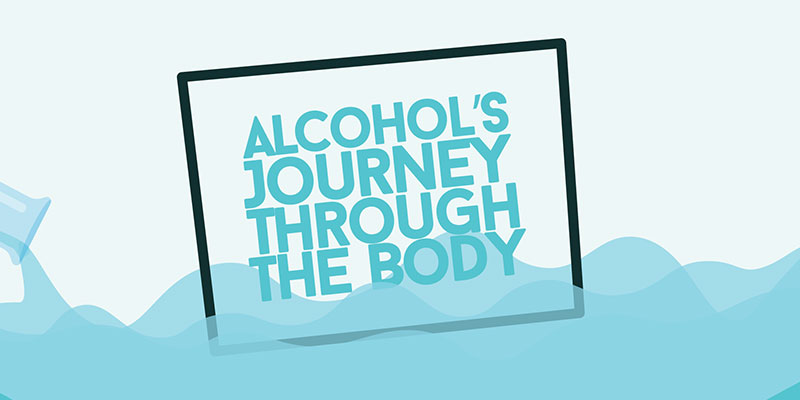Alcohol's Effect on the Body