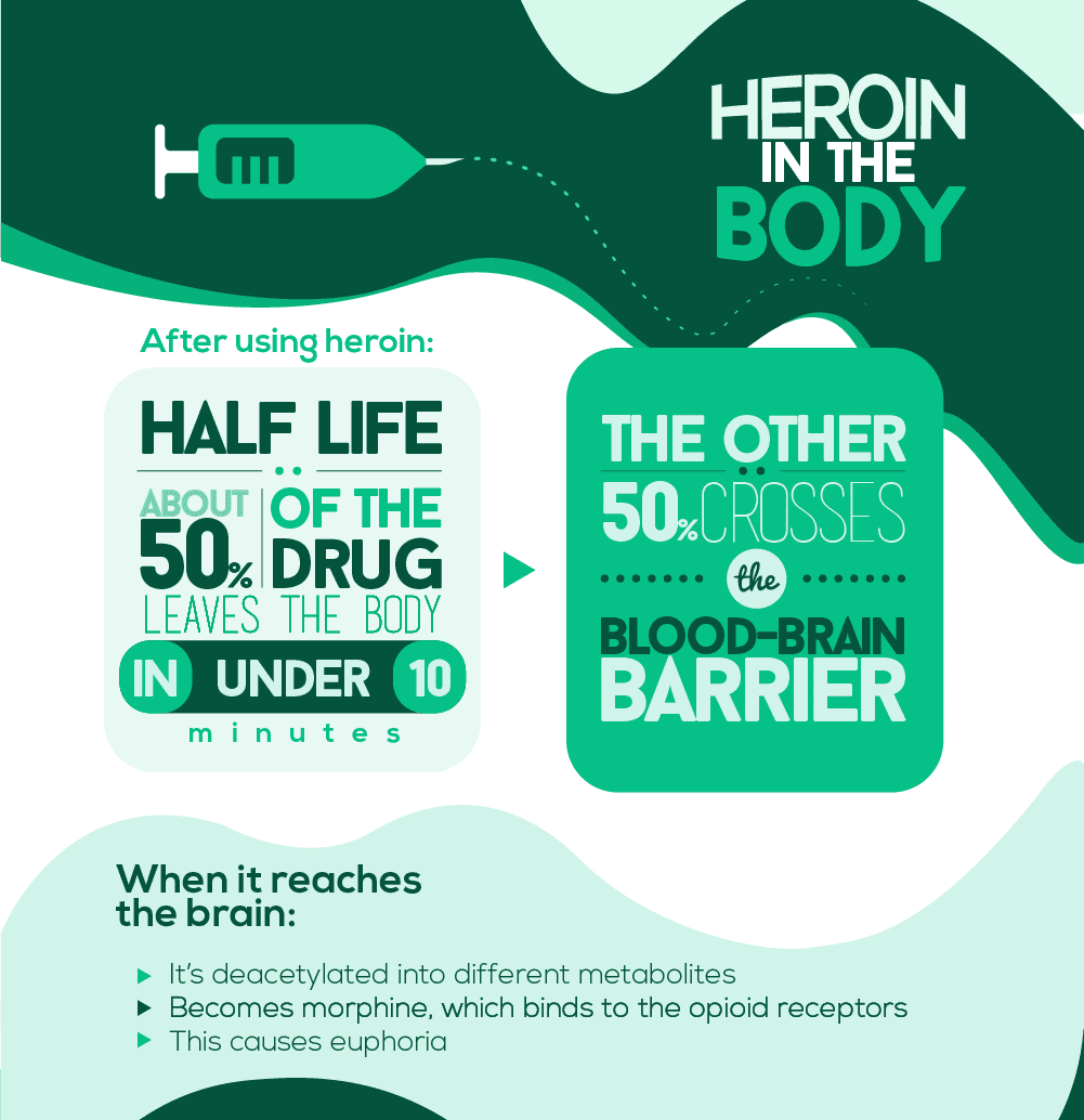Heroin in the Body