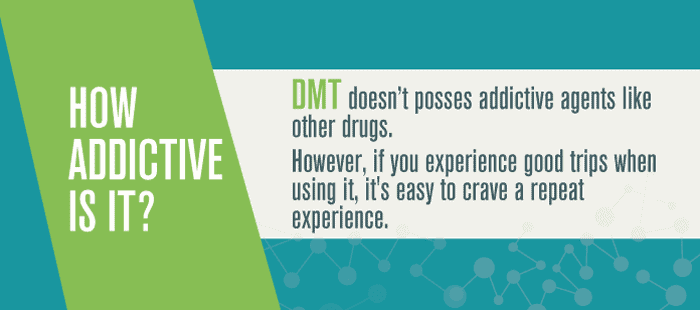 How Addictive is DMT