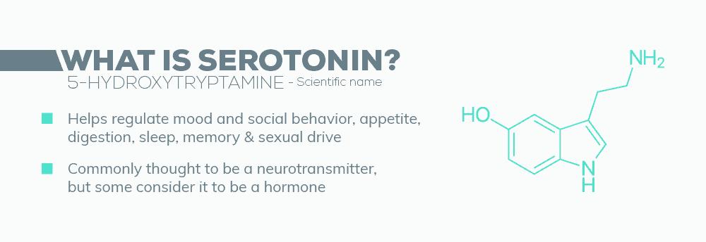 What is Serotonin