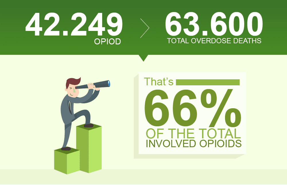opioid overdose statistics