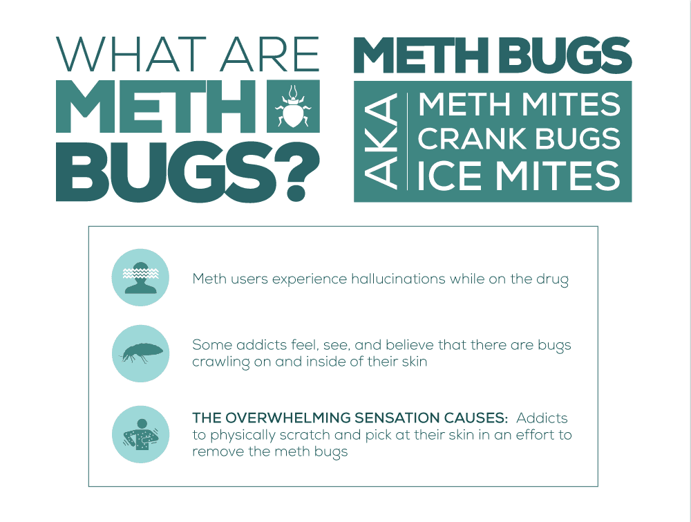 The Cause of Meth Bugs