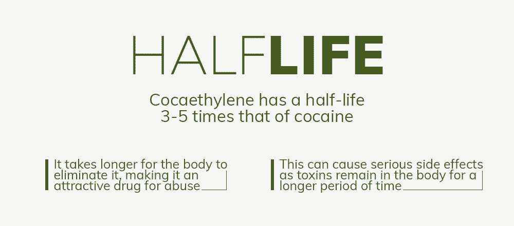 Cocaethylene Half-Life 