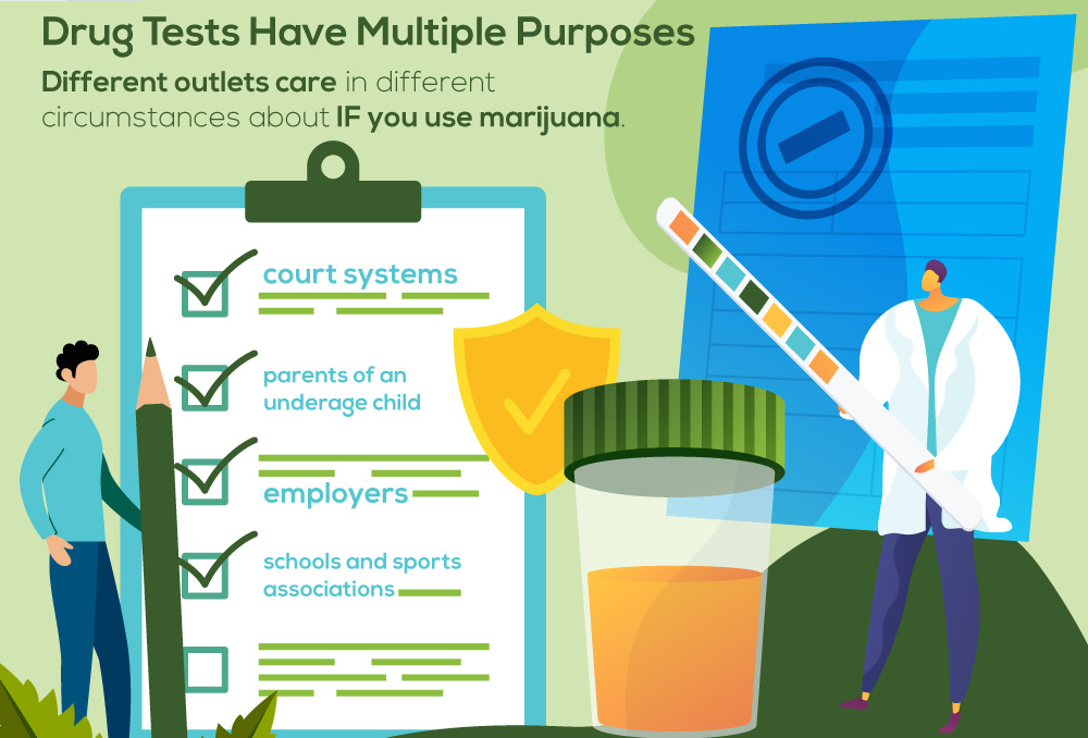 NPRecovery MarijuanaDetection Infographic 2