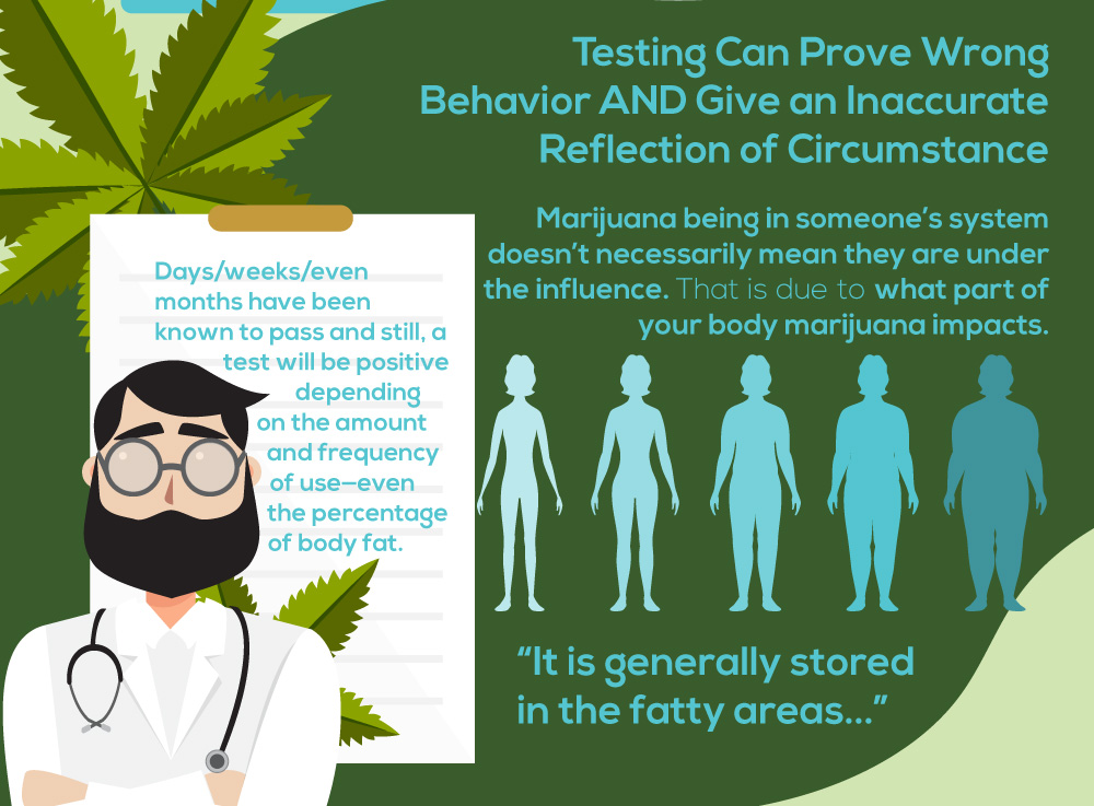 NPRecovery MarijuanaDetection Infographic 3