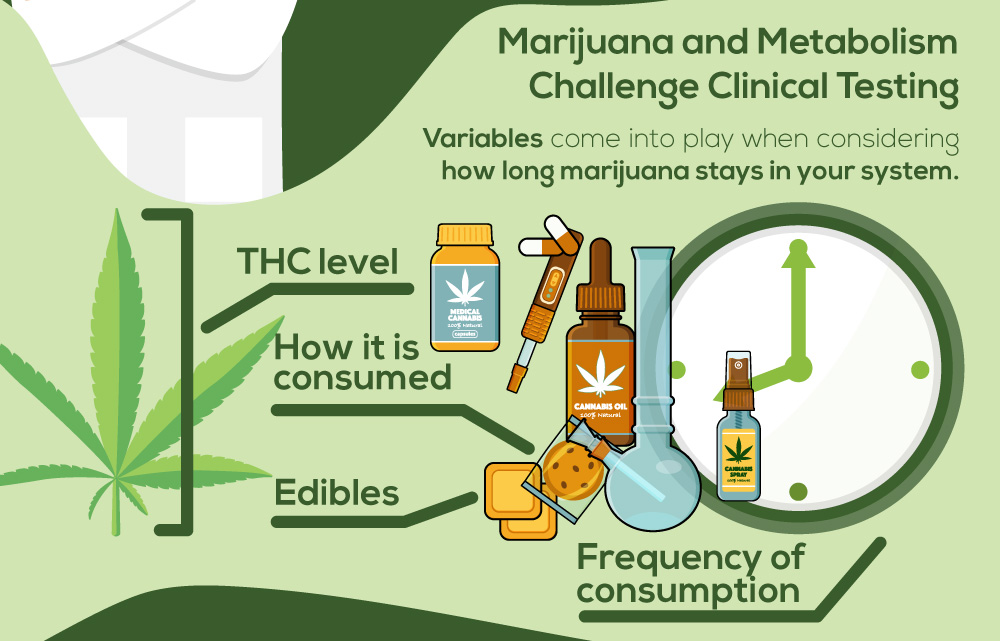 NPRecovery MarijuanaDetection Infographic 4