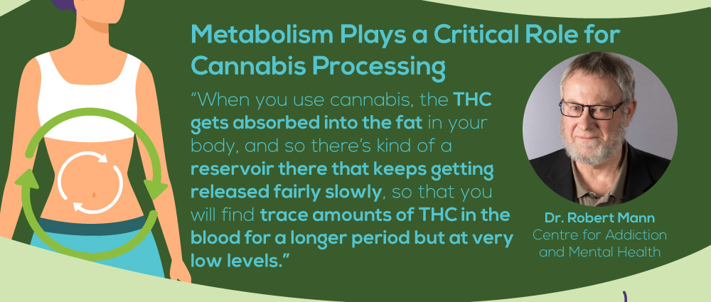 NPRecovery MarijuanaDetection Infographic 5