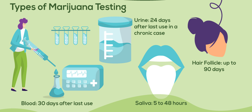 NPRecovery MarijuanaDetection Infographic 6