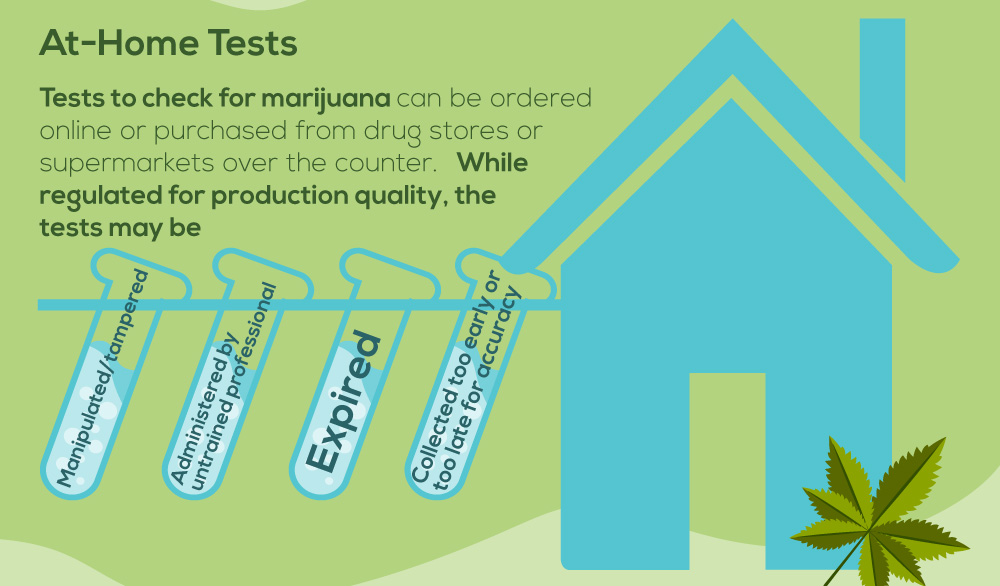 NPRecovery MarijuanaDetection Infographic 7