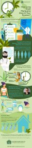 NPRecovery MarijuanaDetection Infographic FULL