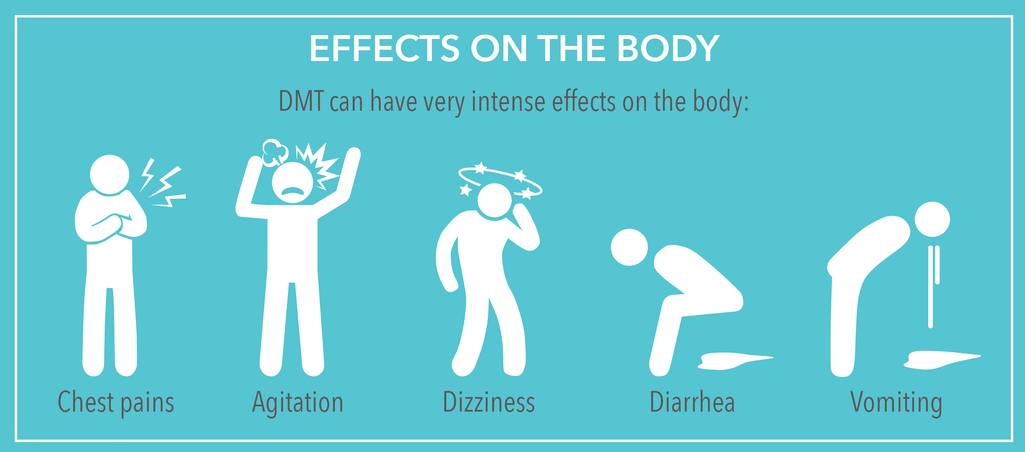 DMT Effects