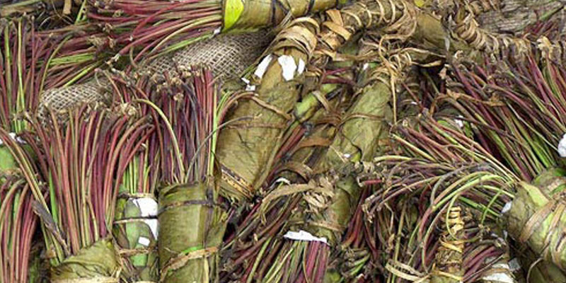 Khat Addiction Information