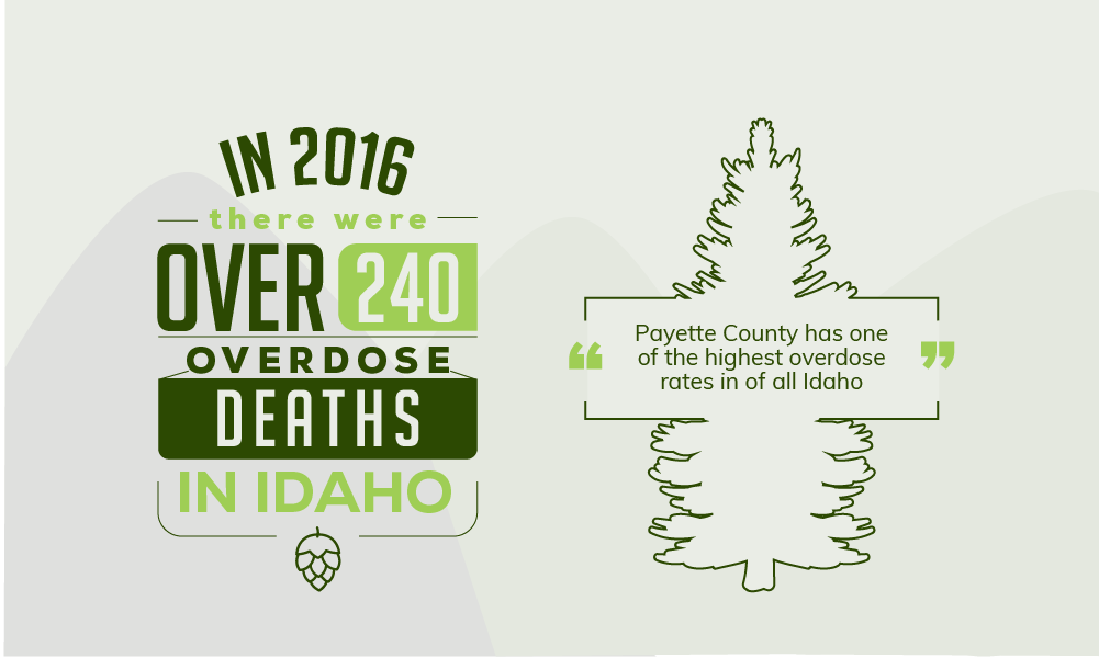 Idaho Overdose Deaths