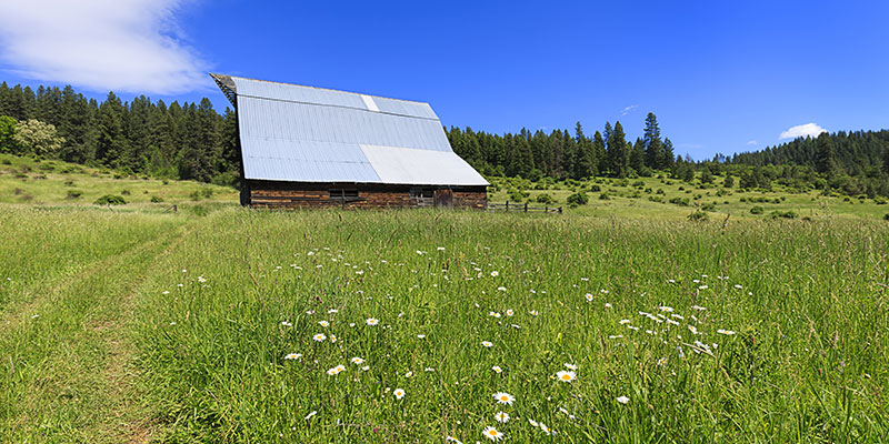 Addiction and Mental Health Resources in Twin Falls, ID