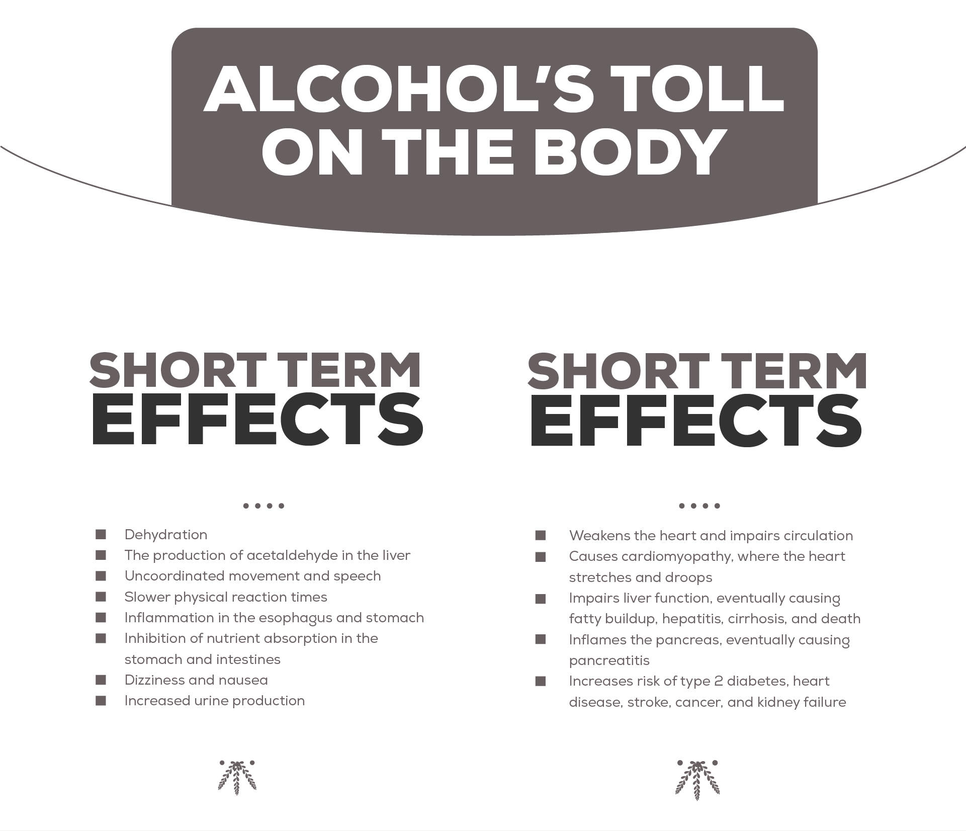 Alcohol's Effects on the Body