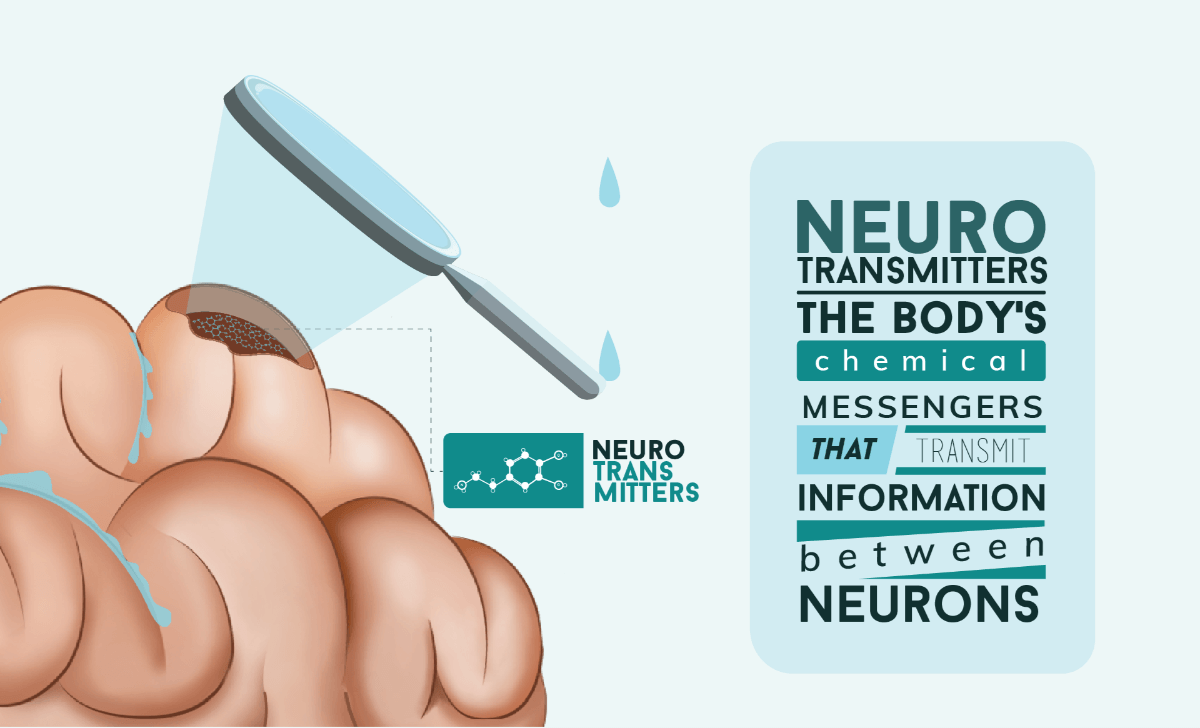 Alcohol and Neurotransmitters