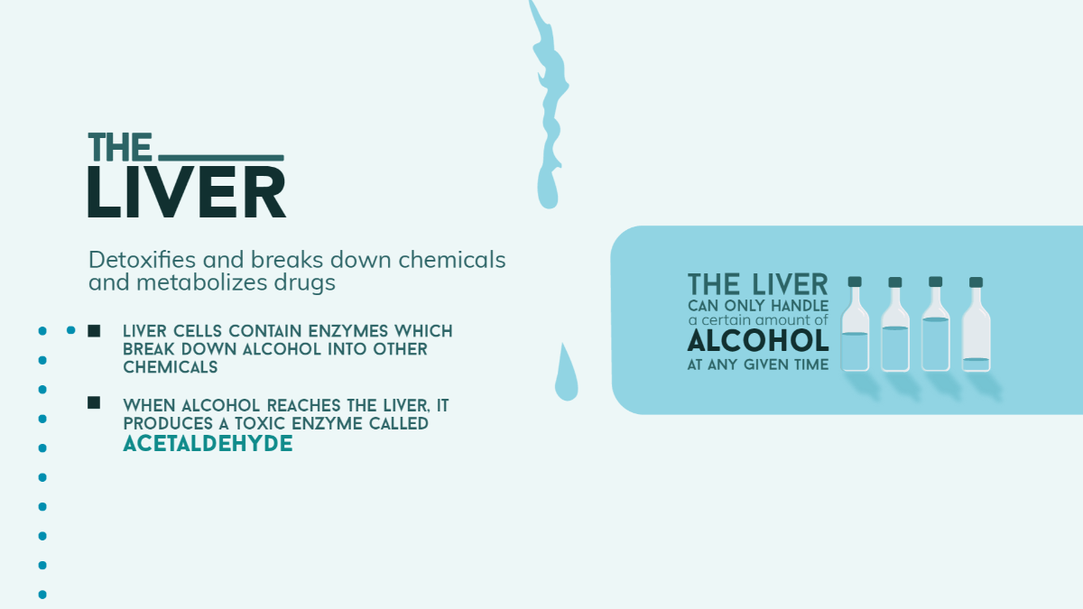 Alcohol and the Liver