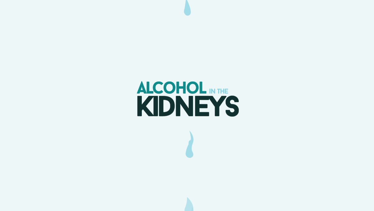 Alcohol in the Kidneys