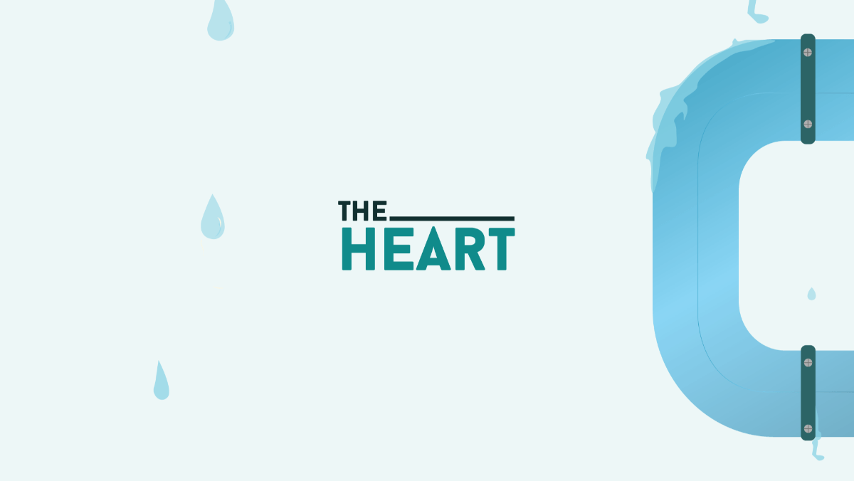 Alcohol Reaching the Heart