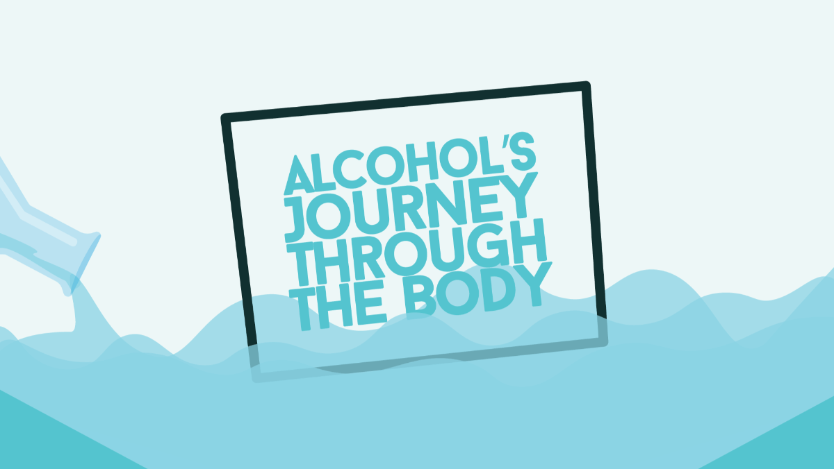 Alcohols Journey Through the Body Infographic Header