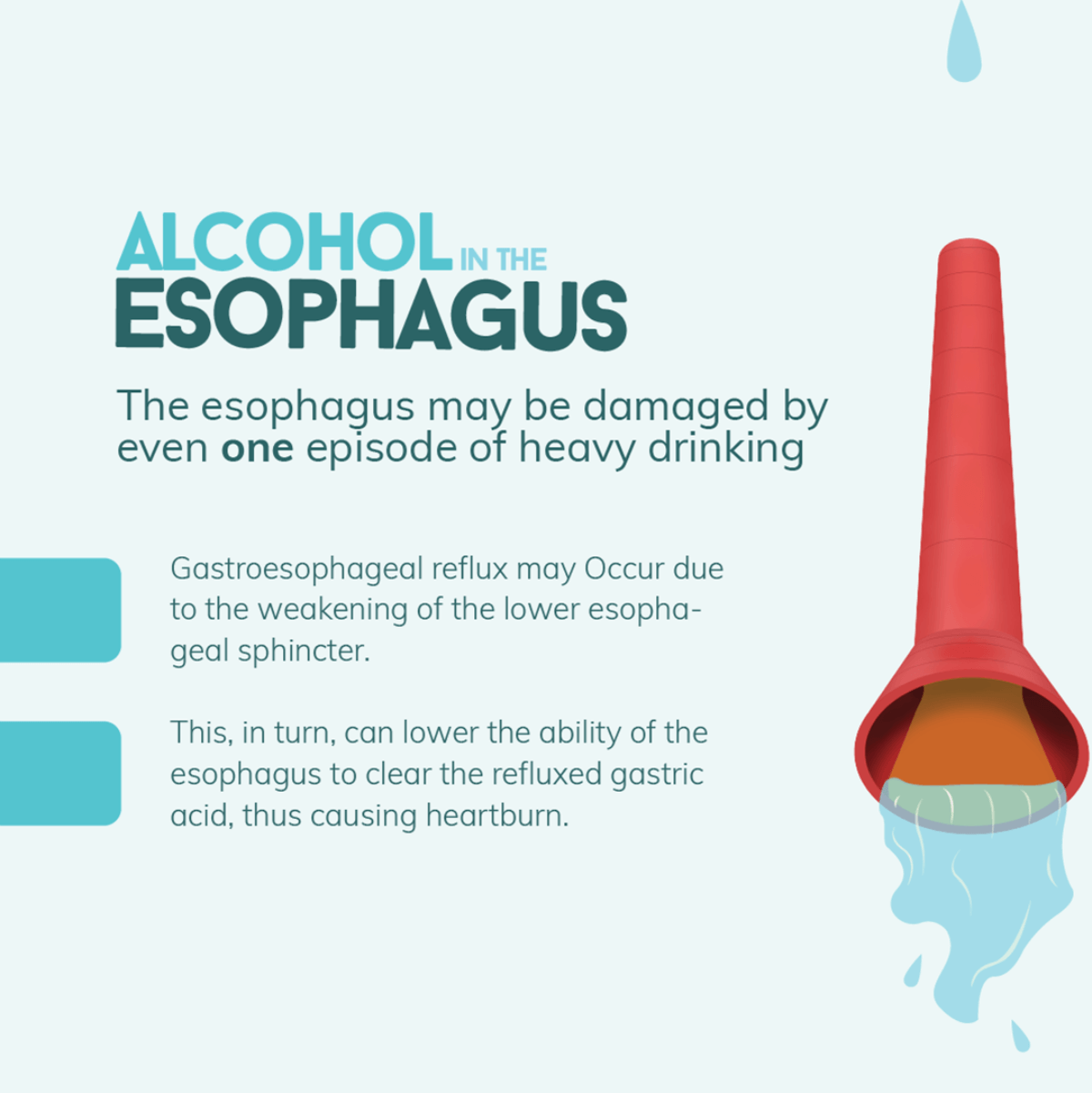 How Alcohol Affects the Esophagus