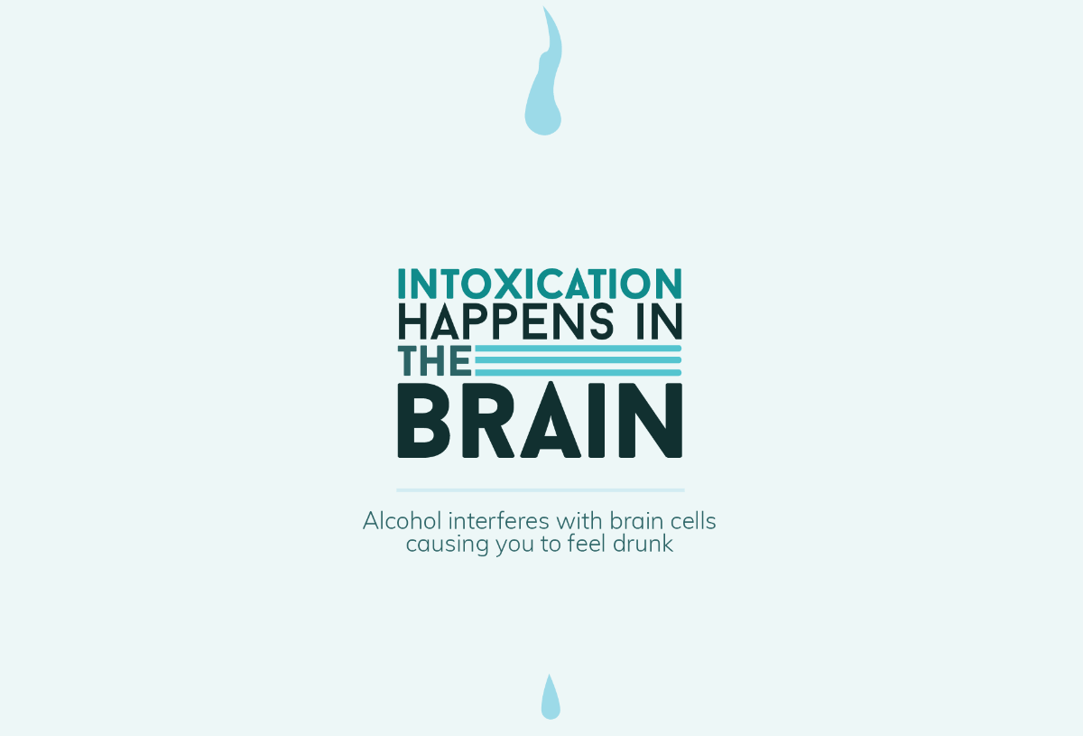 Intoxication Happens in the Brain
