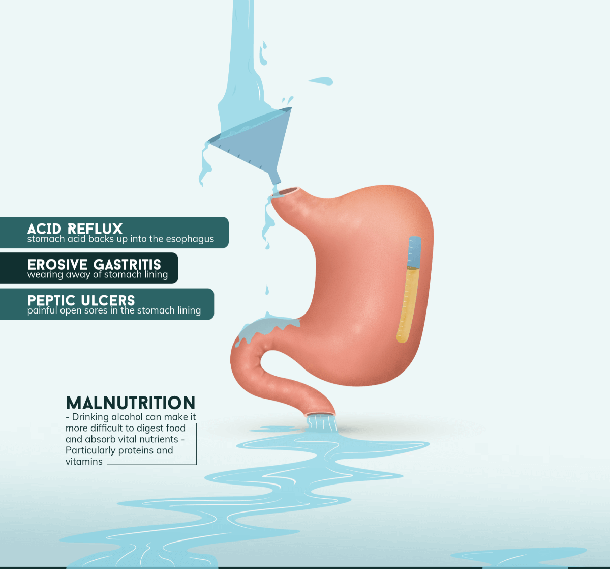 The Effect Alcohol Has on the Stomach