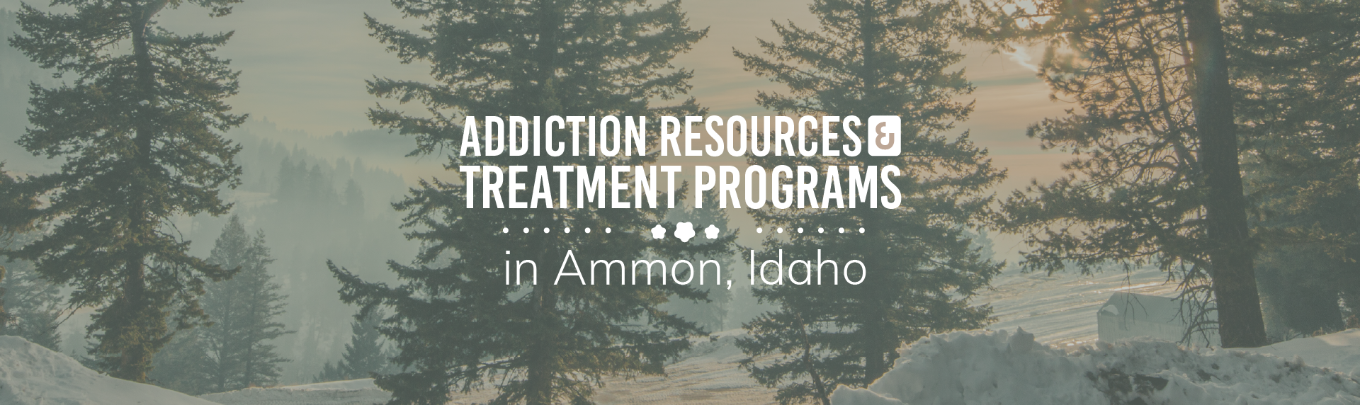 Ammon, Idaho addiction resources