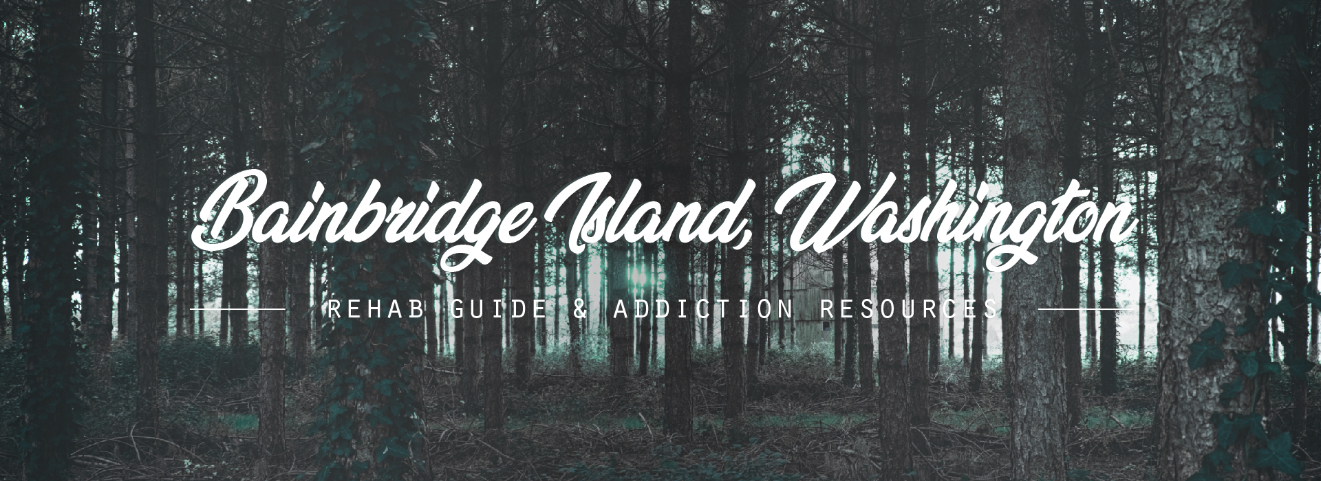 Bainbridge Island, Washington Addiction Information
