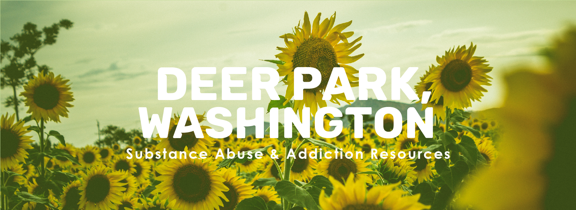 Deer Park, Washington Addiction Resources