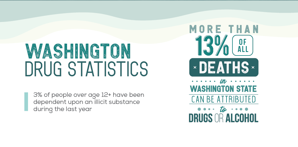 Des Moines, Washington statistics