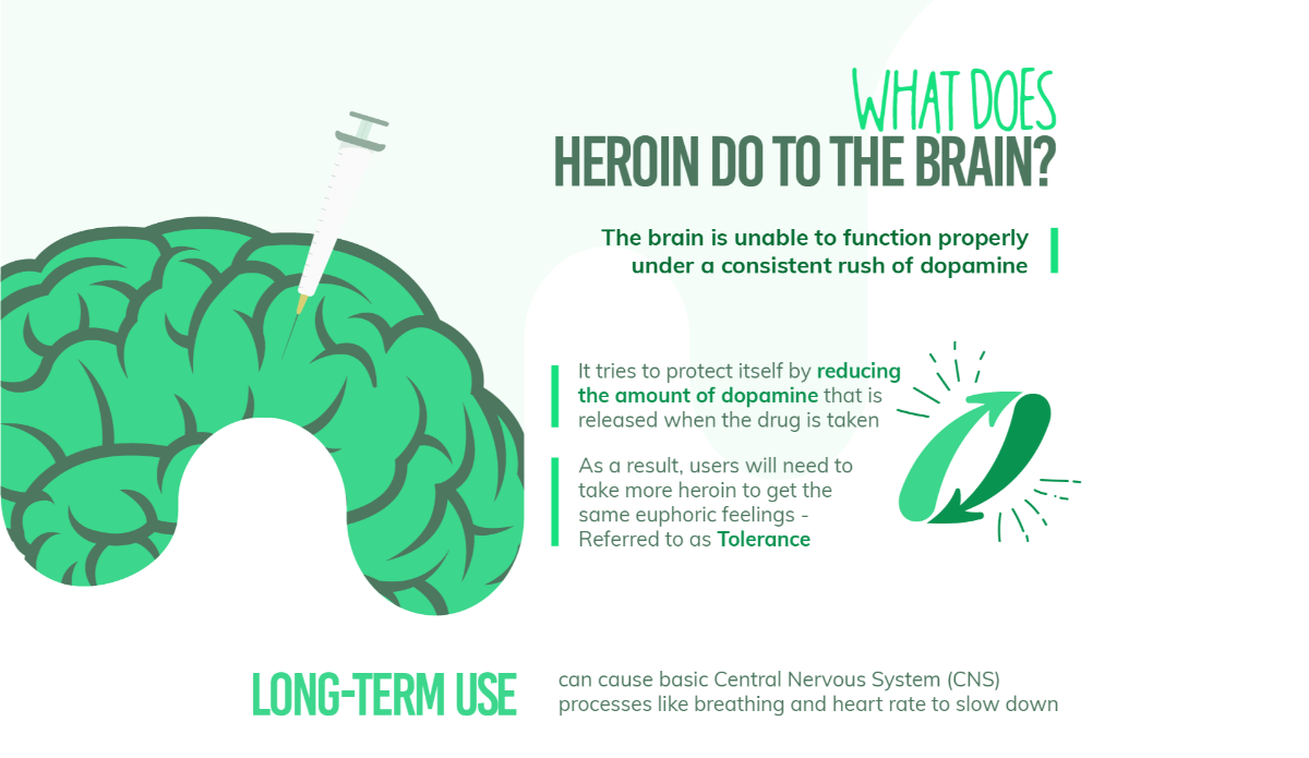 What Does Heroin do to The Brain