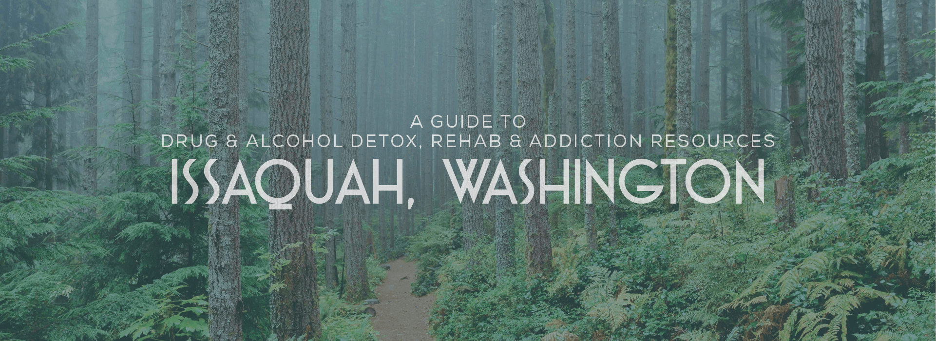 Issaquah, Washington Addiction Resources Header