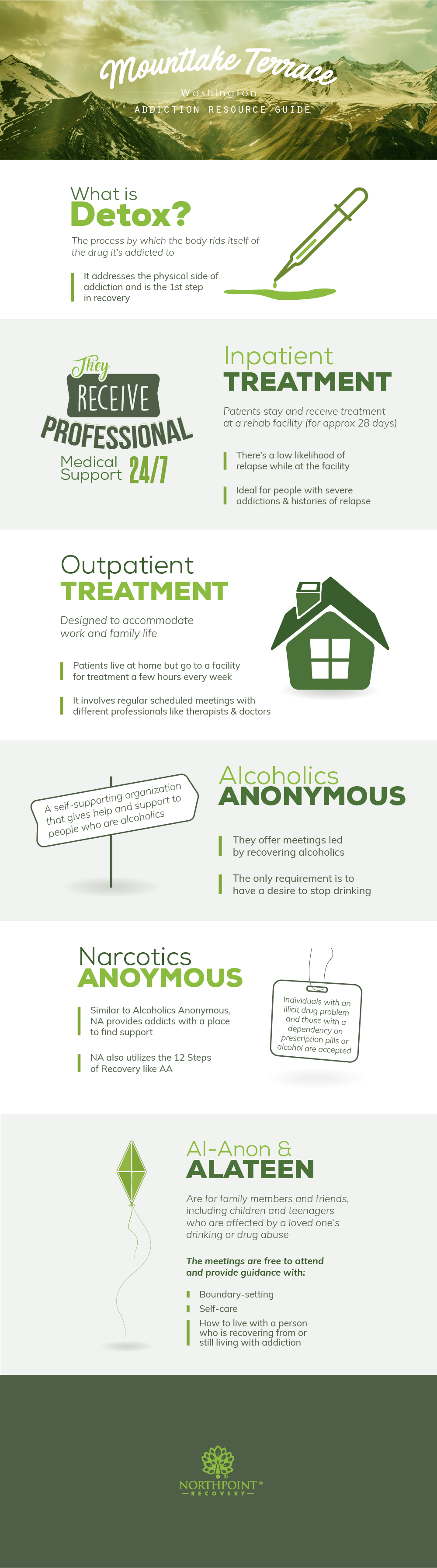 Mountlake Terrace, Washington Addiction Resources Infographic