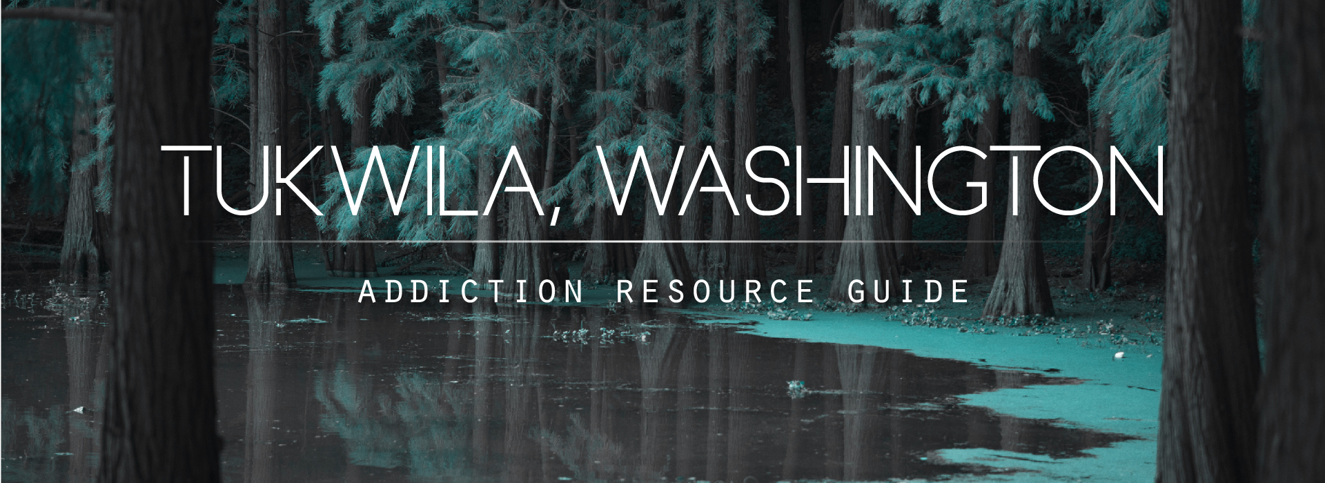 Tukwila, Washington Addiction Resources
