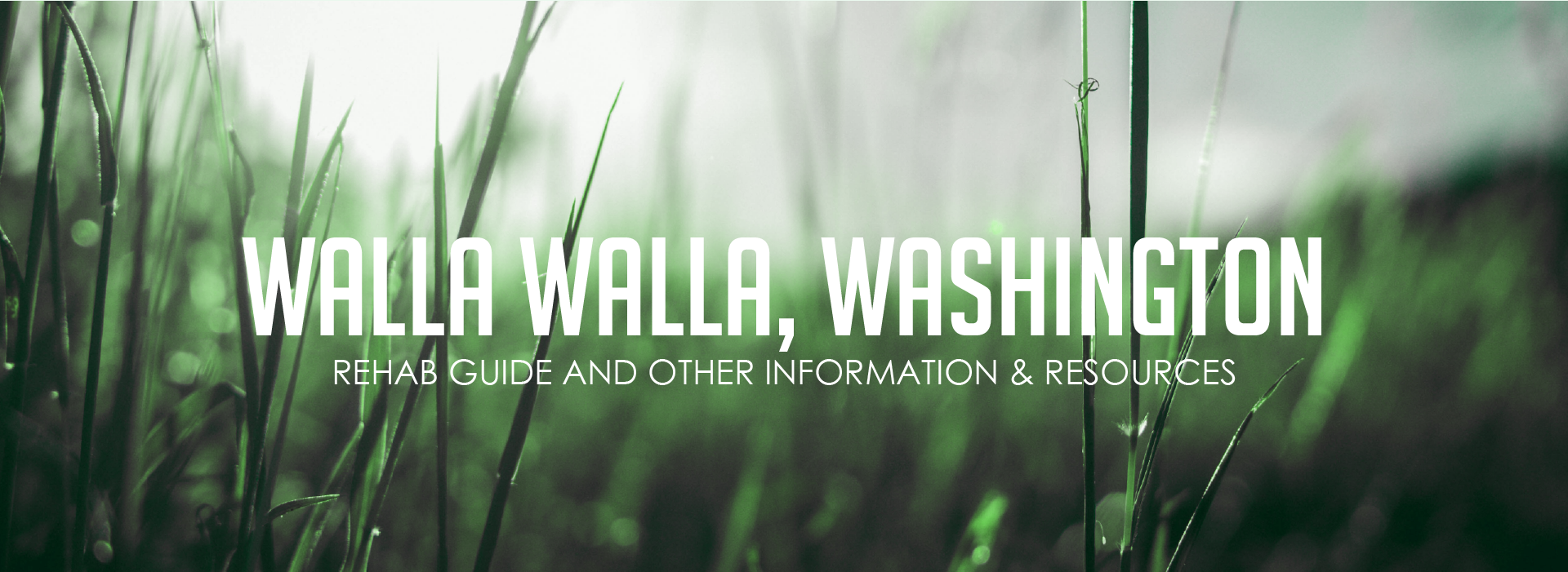 Walla Walla, Washingtion Addiction Information