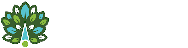 Northpoint Recovery Logo