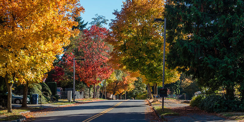 Burien Resources