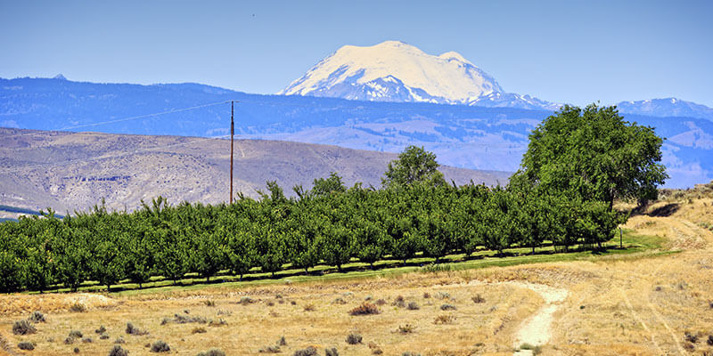 Goldendale Resource Profile