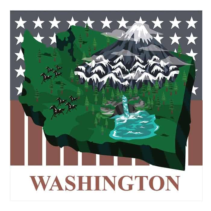 Cutting Edge Drug Rehabilitation Options in Washington State